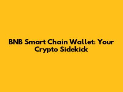 BNB Smart Chain Wallet: Your Crypto Sidekick