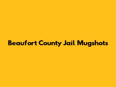 Beaufort County Jail Mugshots
