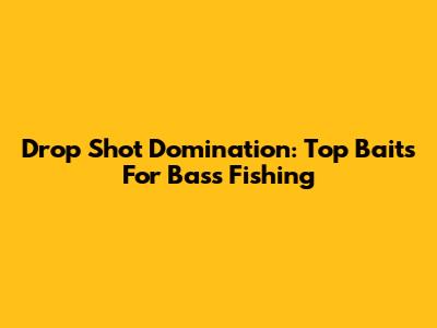 Drop Shot Domination: Top Baits For Bass Fishing