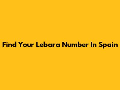 Find Your Lebara Number In Spain