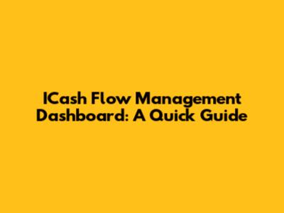 ICash Flow Management Dashboard: A Quick Guide