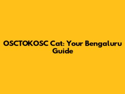 OSCTOKOSC Cat: Your Bengaluru Guide
