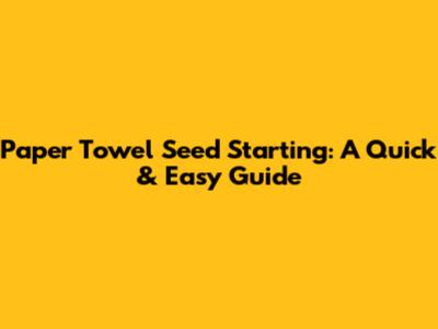 Paper Towel Seed Starting: A Quick & Easy Guide