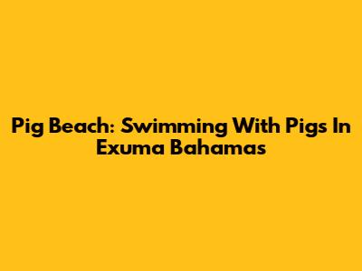 Pig Beach: Swimming With Pigs In Exuma Bahamas