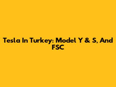 Tesla In Turkey: Model Y & S, And FSC