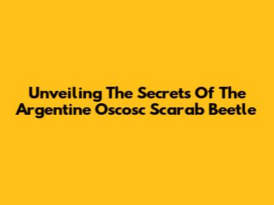 Unveiling The Secrets Of The Argentine Oscosc Scarab Beetle